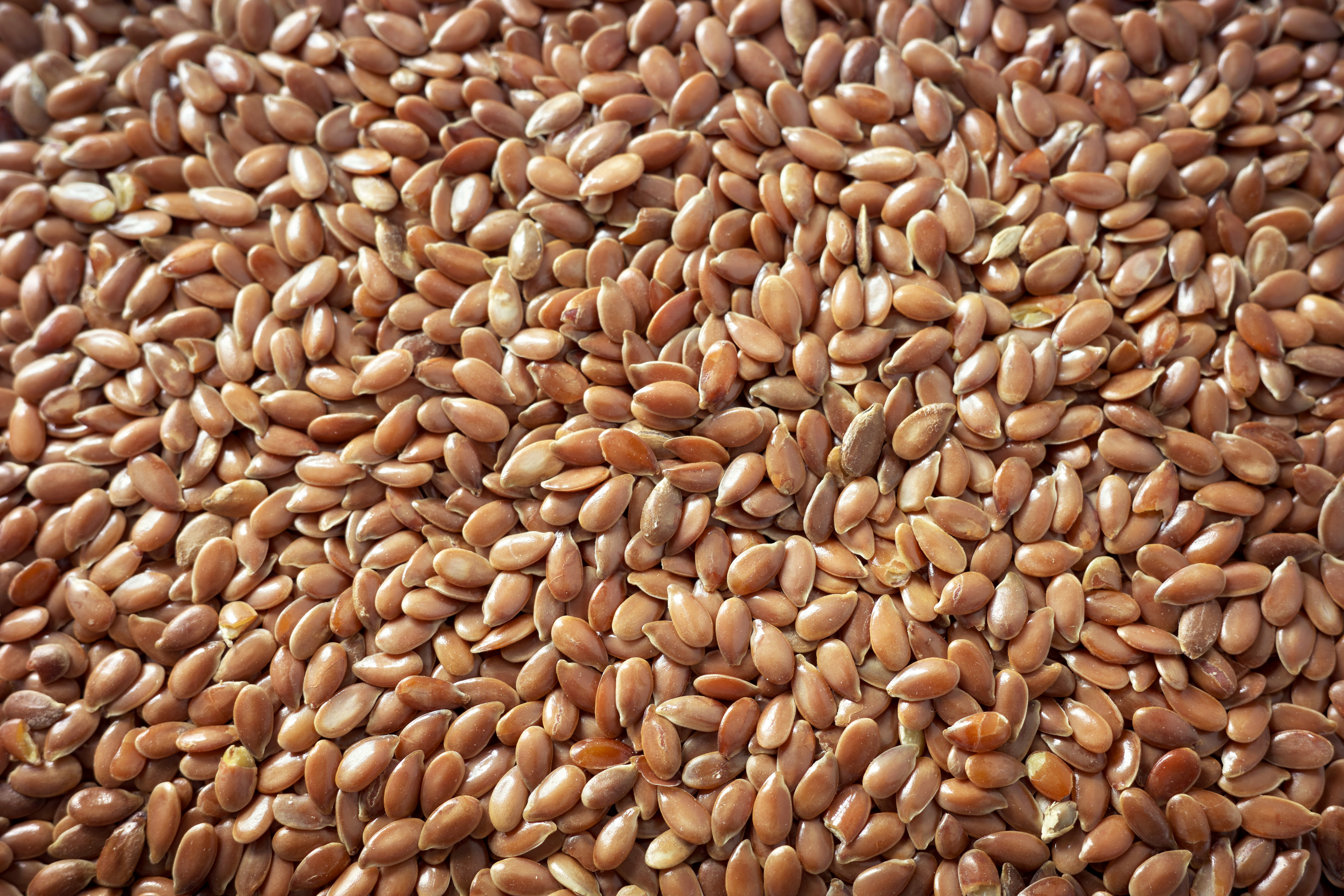 Linseeds